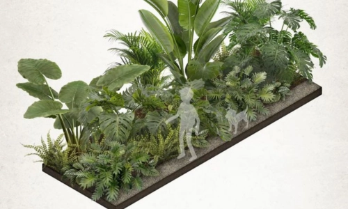 best landscape designer in kottayam our services 3