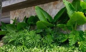 best landscape designer in kottayam see our success stories 2