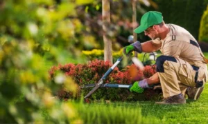 best landscape designer in kottayam see our success stories 2.12