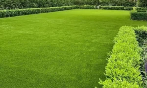 best landscape designer in kottayam see our success stories 2.7