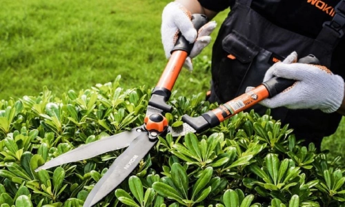 best landscape designer in kottayam service 2